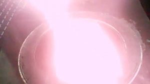 РЕПТИЛОИДЫ В ГНЕВЕ!!!  БЕЗПЛАТНОЕ ОТОПЛЕНИЕ НА ГАЛОГЕНЕ-FREE HEATING ON HALOGEN