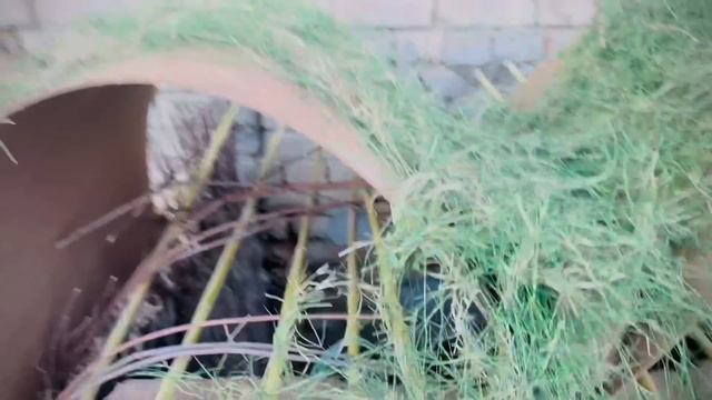 Ali puppies k new mini house ? me phans gaya ? || смотреть онлайн