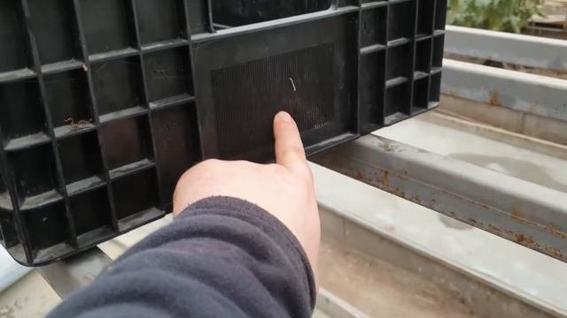 Выгонка Тюльпанов 2021: Подготовка почвы и ящиков для гидропоники смотреть онлайн