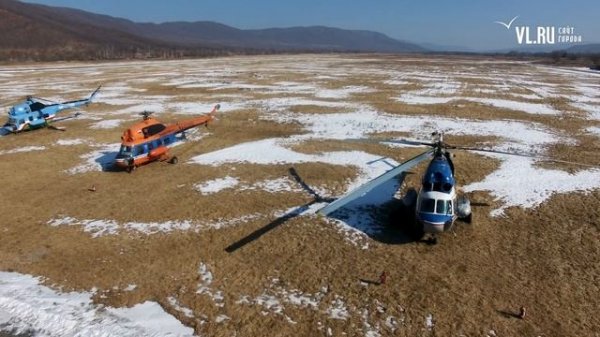 VL.ru - Проблемы малой авиации на Дальнем Востоке