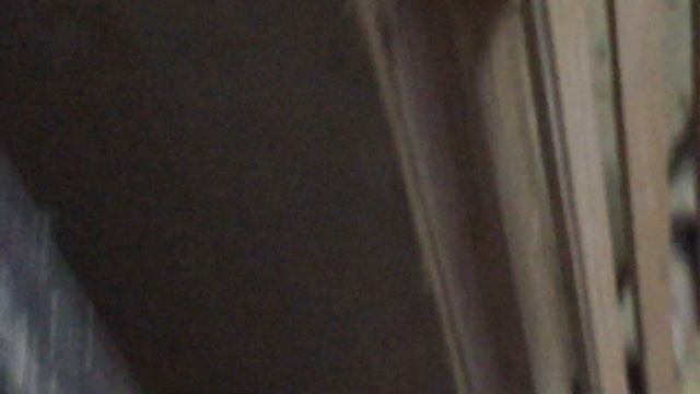 #Pigeon.Как должны летать бойные голуби. смотреть онлайн