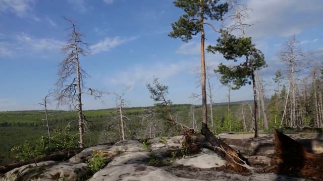 РАЧЕЙСКИЙ БОР. РОДИНА БОГОВ смотреть онлайн
