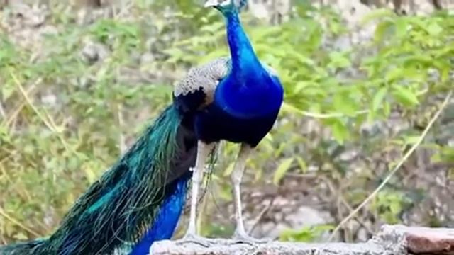 Музыка релакс, музыка для йоги, медитации, расслабление,самая красивая в мире музыка смотреть онлайн