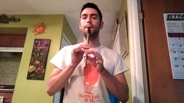 An Irish Pub Song-The Rumjacks-Tin whistle cover and fingering chart смотреть онлайн