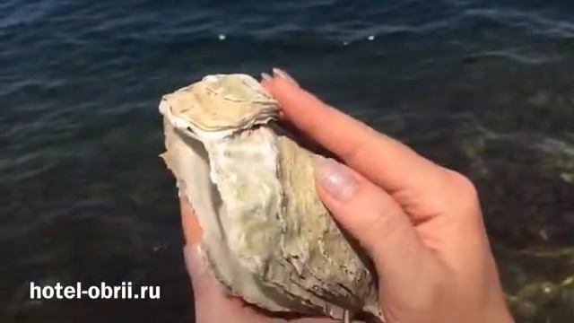 Путешествие на Донузлав смотреть онлайн