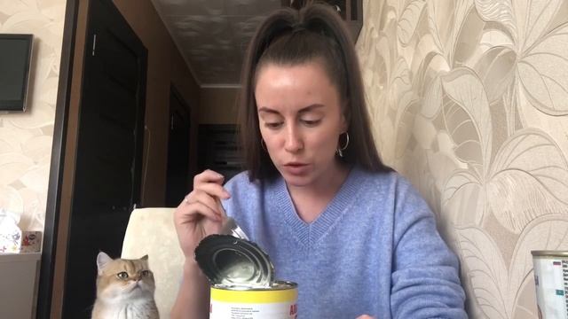 Паштет из котят! ОБЗОР СВЕТОФОРА. НОЯБРЬ 2020 смотреть онлайн