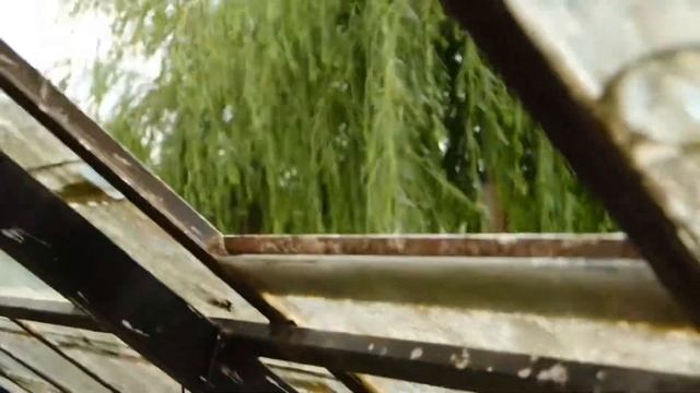 Georgia Tbilisi, Gardenia Shevardnadze. смотреть онлайн