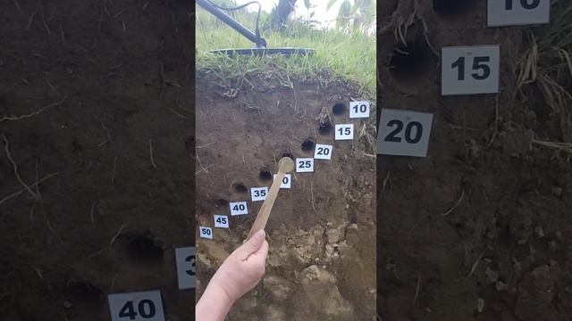 Prueba de profundidad Detector de Metales X terra X-terra. DMT xterra pro @Egecoldepth test смотреть онлайн