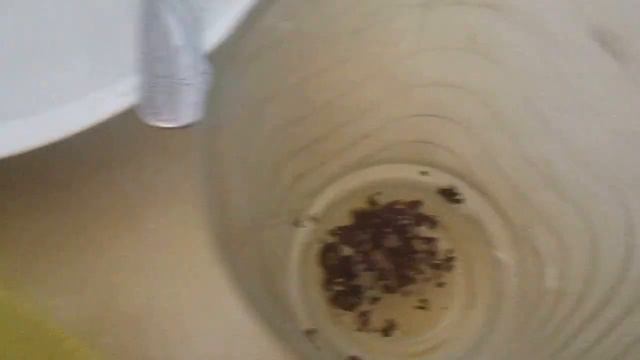 Что делают дети пока спят родители. смотреть онлайн
