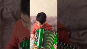 Играю на баяне песня аннушка