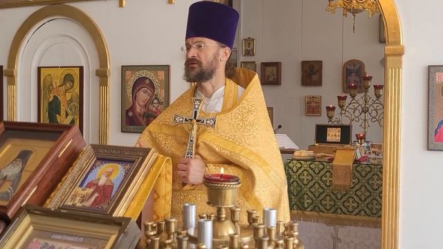 Почитайте святых вашей земли. Память собора Санкт-Петербургских святых смотреть онлайн