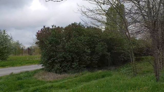 Пешком до ЖД Анапа. Как экономить на дороге. Лайф - хак смотреть онлайн