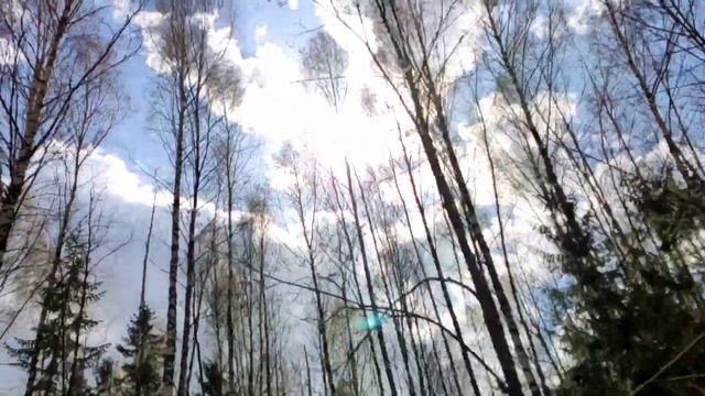 Тайга#домвдеревне #природа #тайга