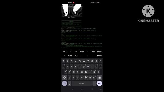 my own python socket tool смотреть онлайн