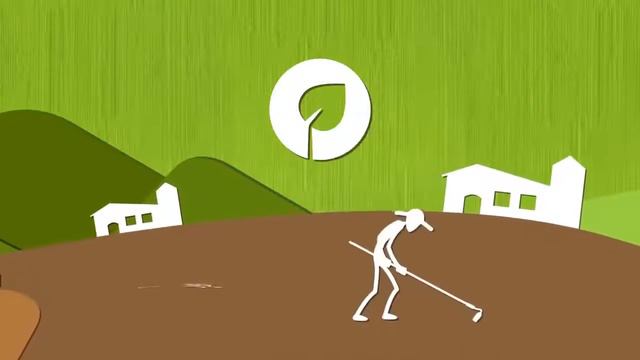 Где и как производят эфирные масла dōTERRA смотреть онлайн