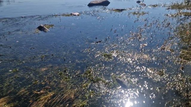 Братск Ангара смотреть онлайн