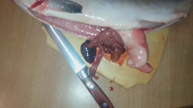 ЛОСОСЬ. Глисты, черви или строение тела? Вся правда только сейчас! смотреть онлайн