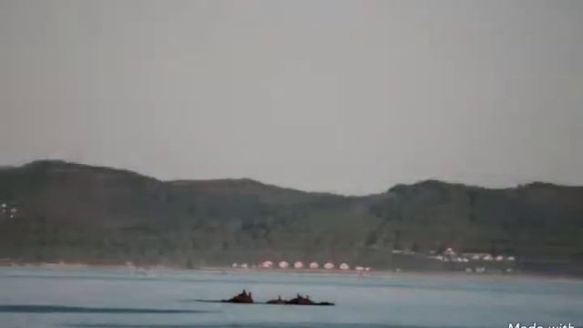 Отдых в Ливадии ПРИМОРЬЕ 89243333737 смотреть онлайн