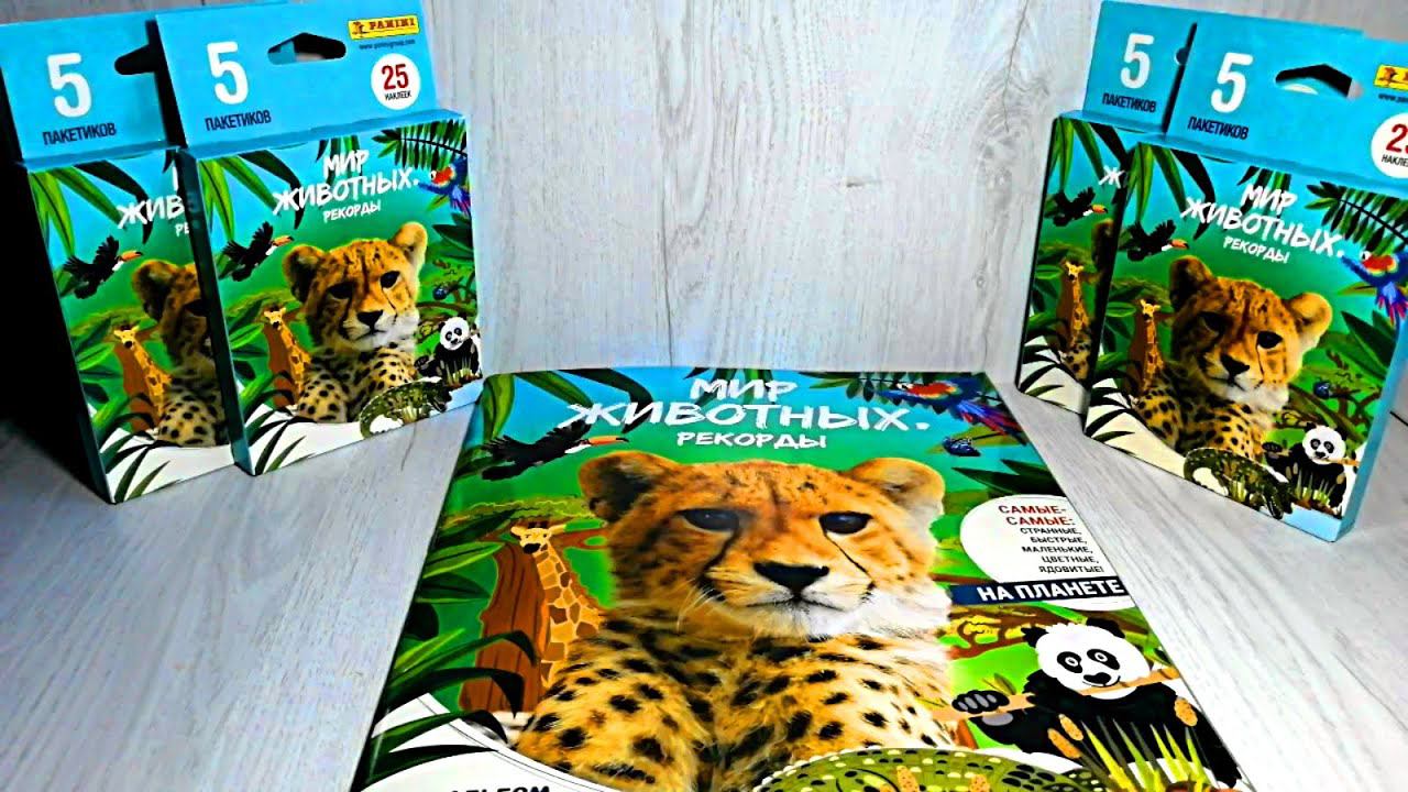 Panini Мир Животных. Рекорды - 4 блистера смотреть онлайн