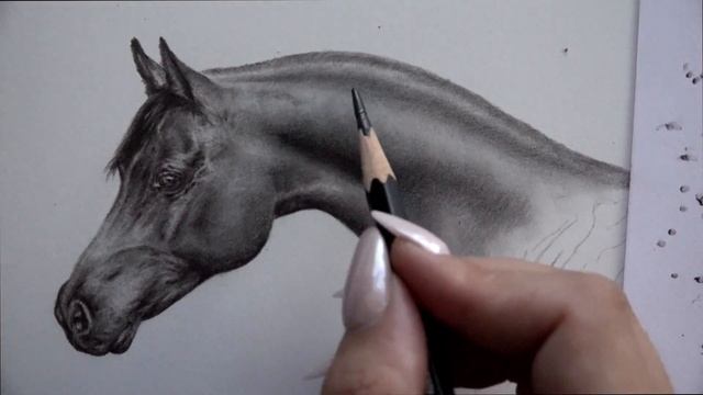 This Tip Will Improve Your Drawing - Realistic Horse Graphite Drawing смотреть онлайн