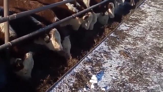 СтройКонструктор