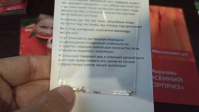 Крупноплодный, суперурржайный шикарный сорт клубники «Чёрный лебедь»