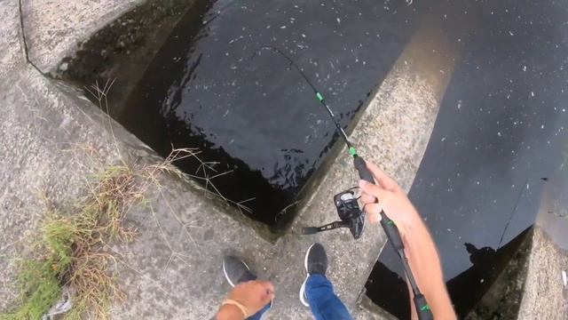 РЫБАЛКА на КРЫСУ в КАНАЛИЗАЦИИ или что можно поймать на НАЖИВКУ в виде крысы смотреть онлайн