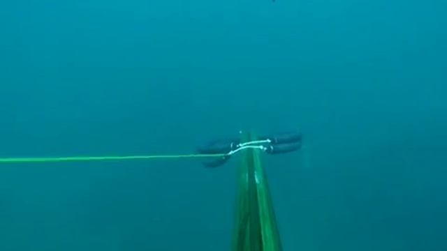 Подводная охота в Средиземном море - фишдансер, испанская макрель смотреть онлайн