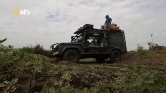 Возрождение дикого царства Африки (4-я серия - Тайные миры) смотреть онлайн