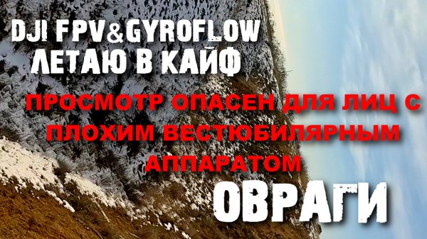 DJI FPV&GOPRO 11&GYROFLOW