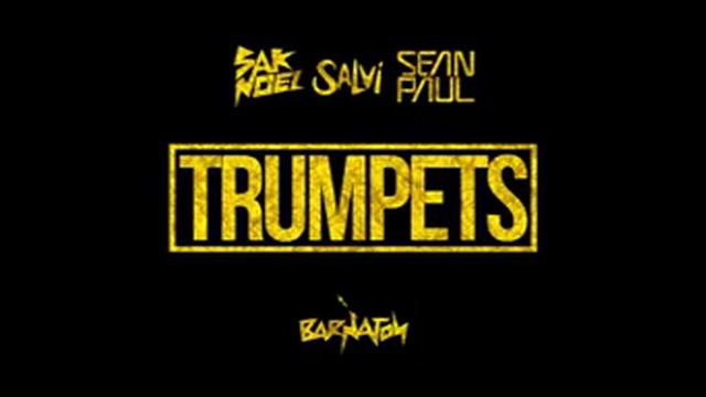 Sak Noel & Salvi Ft. Sean Paul - Trumpets