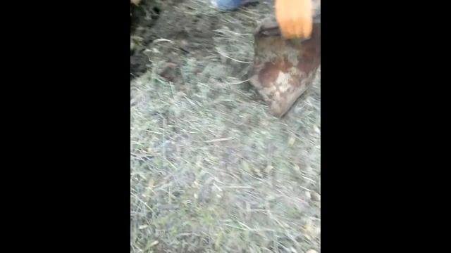 коп с ар944 часть 2 коп на ферме. смотреть онлайн