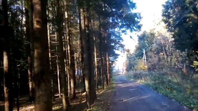 Участок по Пятницкому ш., д. Лыткино, СНТ смотреть онлайн