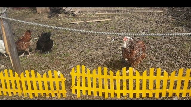 Все на солнышко )))