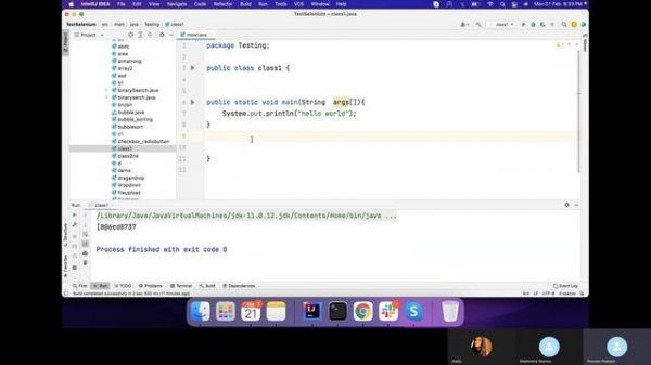 Online Java classes for absolute beginners | Strings and OOPs concept