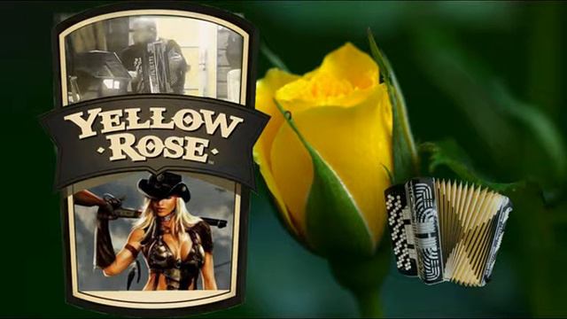The Yellow Rose of Texas, Preerian keltainen ruusu, Accordion, Jussi Marttinen смотреть онлайн