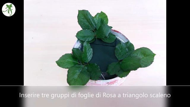 Flower box fiori freschi in stile decorativo-formale смотреть онлайн