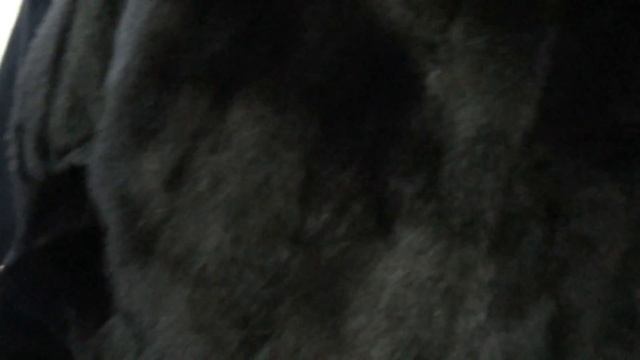 00022 - зам управы на 3175.MTS смотреть онлайн