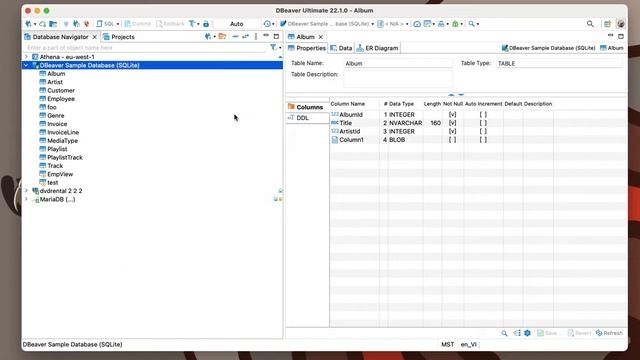 Simple or Advanced: choose your navigation tree view in DBeaver смотреть онлайн