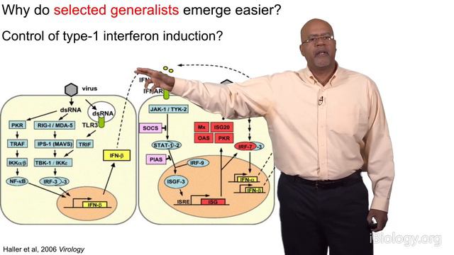 Paul E. Turner (Yale) 2: Virus Adaptation to Environmental Change смотреть онлайн