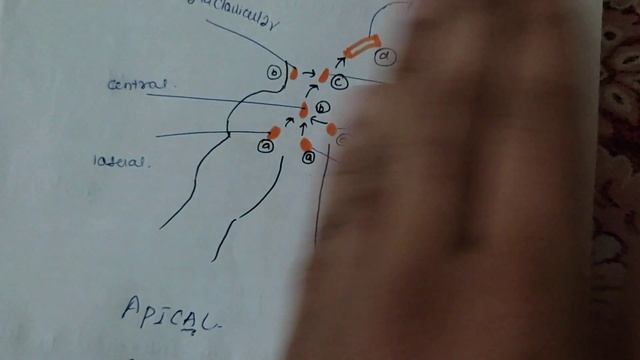axillary lymph node , upper limb easy explanation смотреть онлайн
