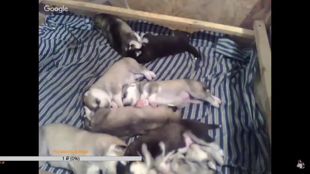 Мы очень соскучились за всеми вами.