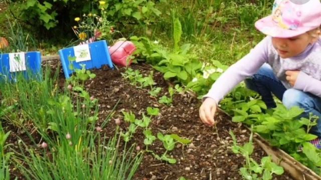 Занятие "Ознакомление с природой в детском саду"
. Цветы. Средняя группа. смотреть онлайн
