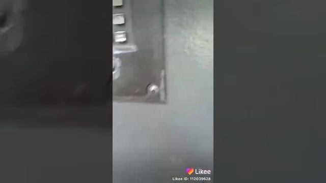 Мастерство и Вдохновение