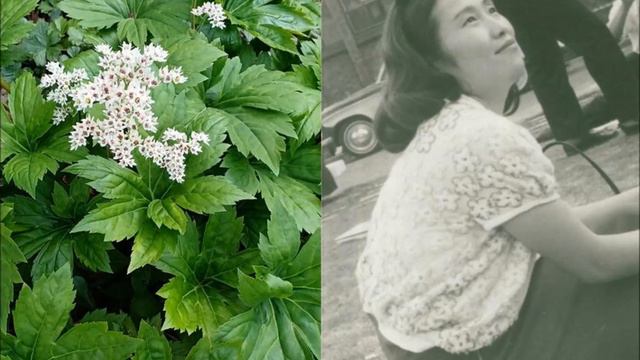 天谷洋子=中塚洋子の館Yoko A.= N. 's HOUSE《交響曲ト長調 YOKO》第一楽章(呈示部反復)Symphony in G 1st mov. Repeated Exposition. смотреть онлайн