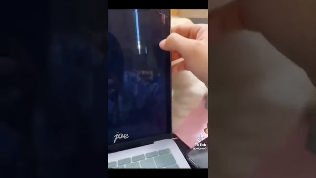 FUNNY CATS #funnycats #cats смотреть онлайн