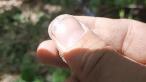 КОП 2021 Где нельзя копать 3 совета новичкам Поиск монет металлоискателем Как выбрать место для КОП