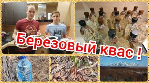 Как сделать березовый квас ?