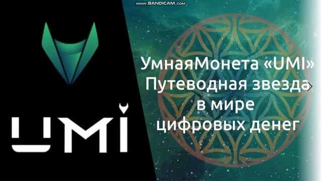 Зачем нужен UMI? Мировая экономика. Финансовая система. Банки. смотреть онлайн