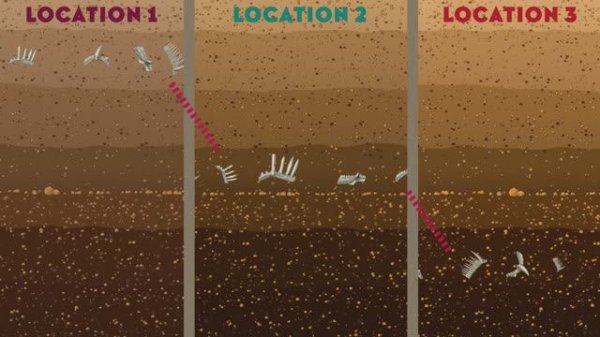 Самые полезные ископаемые (Most Useful Fossils in the World)